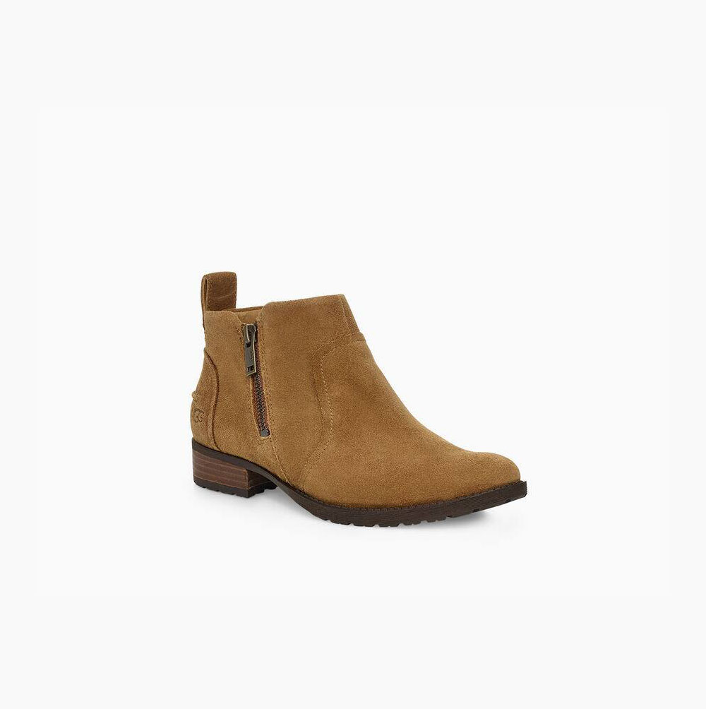 UGG Aureo II Suede Brown Ankle Boots for Women (ELOU48231)